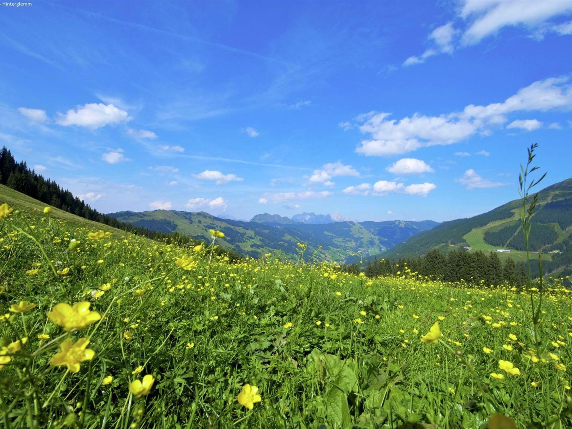 Large Chalet Apartment In Saalbach Hinterglemm Buitenkant foto
